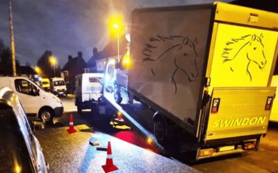 Horsebox Transportation in Swindon Wiltshire