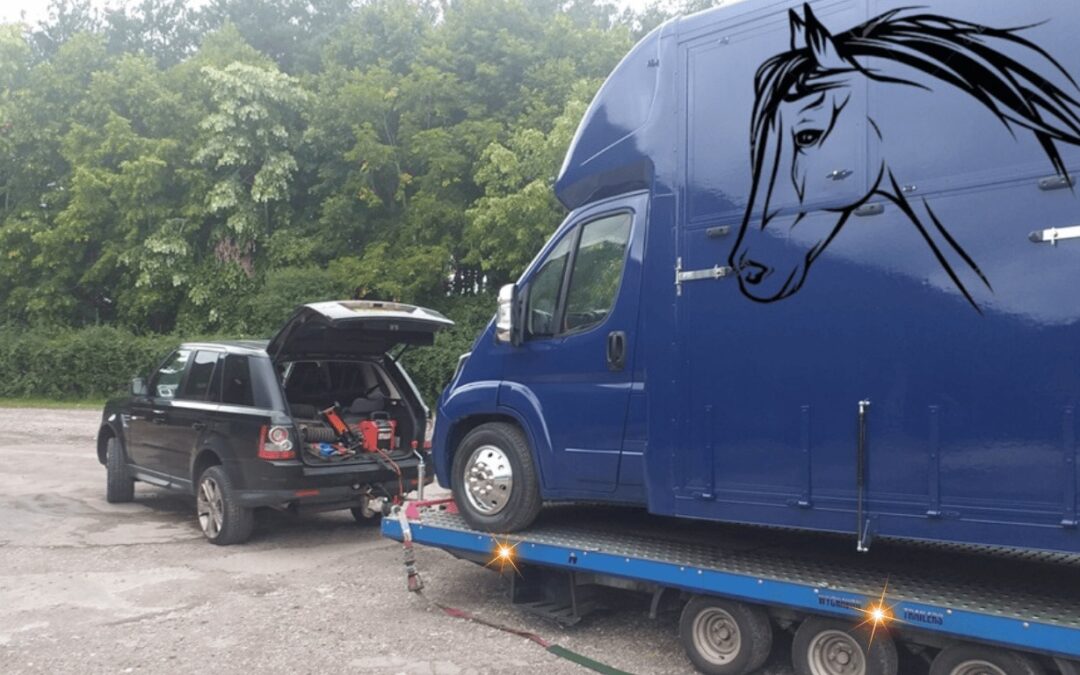 Horsebox Transport in Newbury, Berkshire: 07400119207