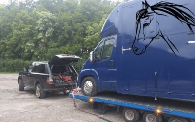 Horsebox Transport in Newbury, Berkshire: 07400119207