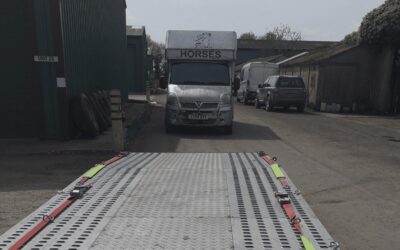 24/7 Horsebox Transport in Chippenham, Wiltshire: 07400119207
