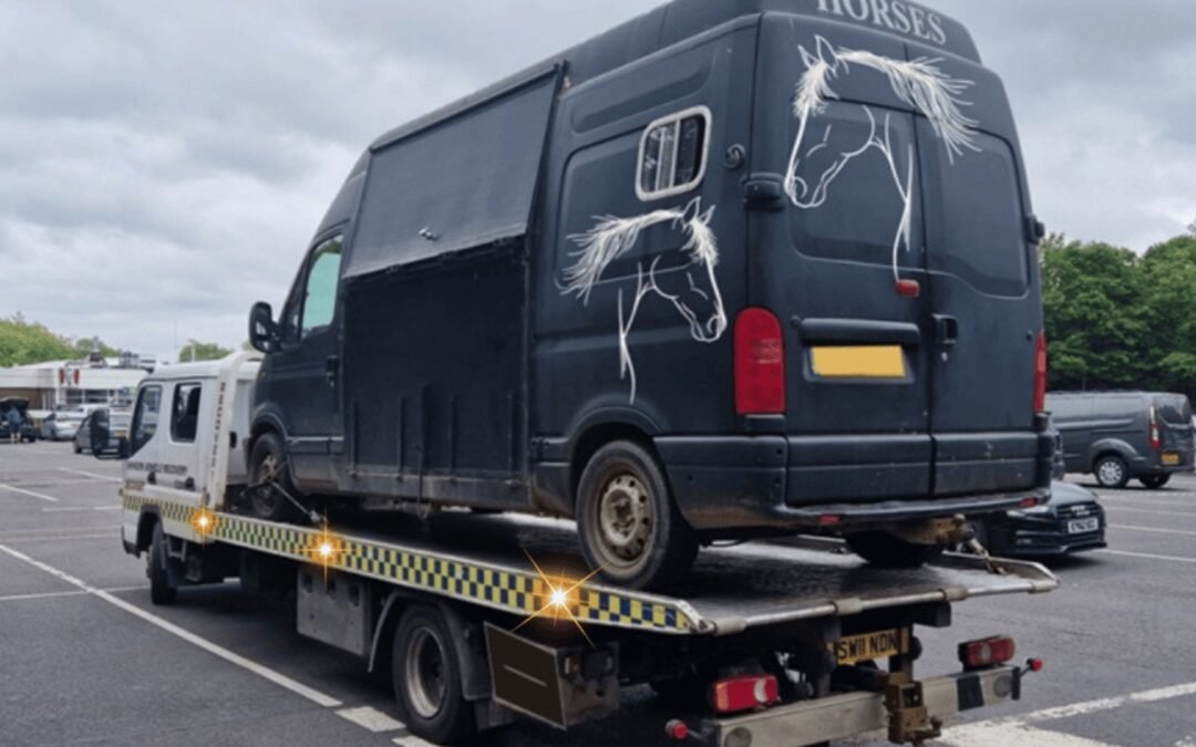 Chippenham Horsebox Transport in Wiltshire: 07400119207