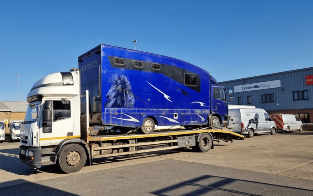 Horsebox Transport Service in Chippenham: 07400119207